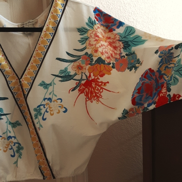 Vintage Style Flying Tomato Vee Neck Top - Picture 4 of 7